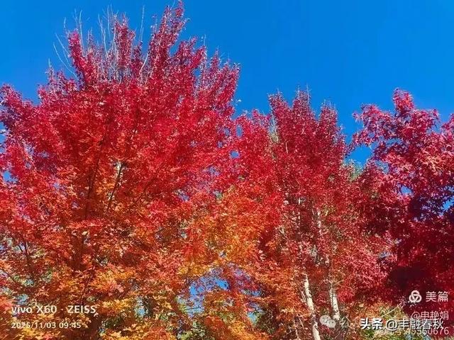 青岛即墨马山寻趣：一座地质公园的秋日私语｜申艳娟