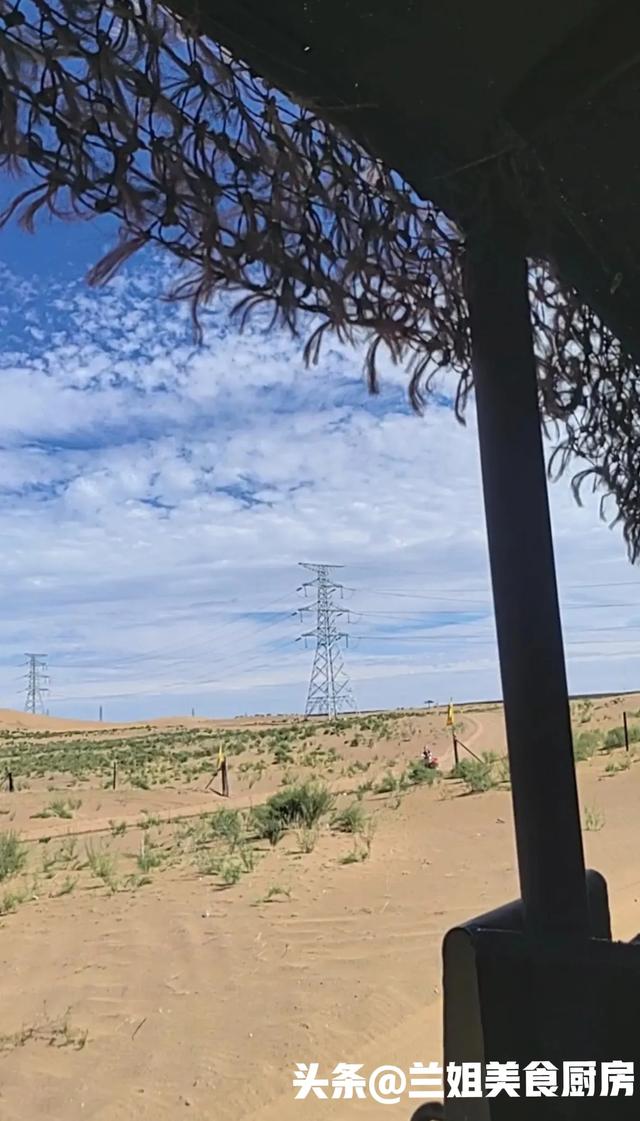 宁夏玩吃双爆攻略！黄河鲜一口沦陷，沙坡头项目嗨到腿软