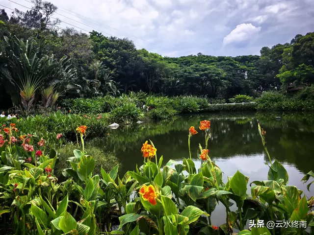 一个五A级植物园，到底藏着哪些值得看的地方，这是最实在的攻略