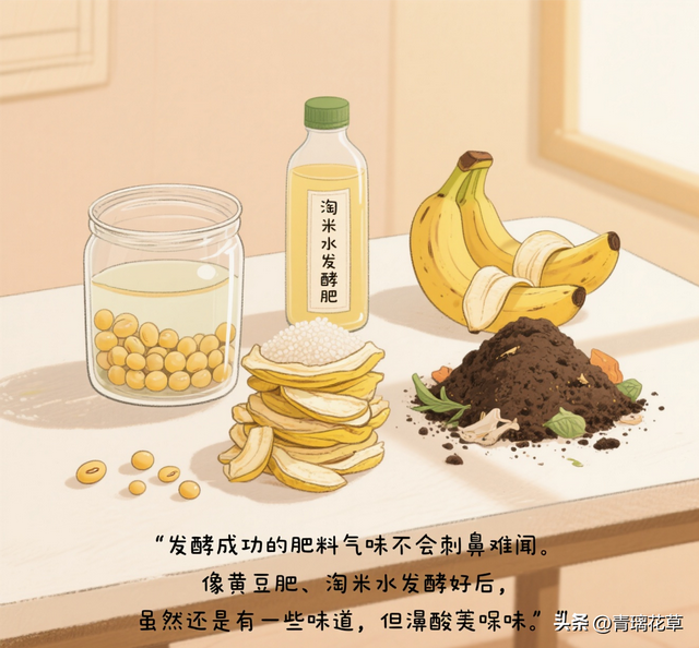 在家自制花卉肥料全攻略：从原料到使用的一站式指南