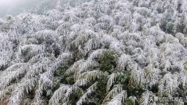绝美!三江大塘坳惊现“琉璃仙境”!