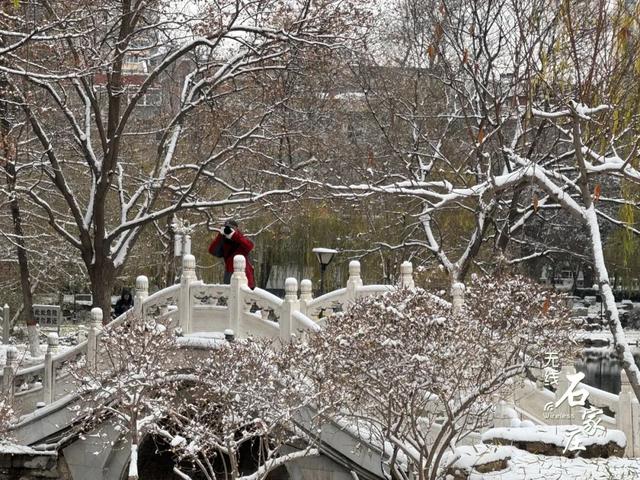 收好这份石家庄“雪景打卡地图”！走起→