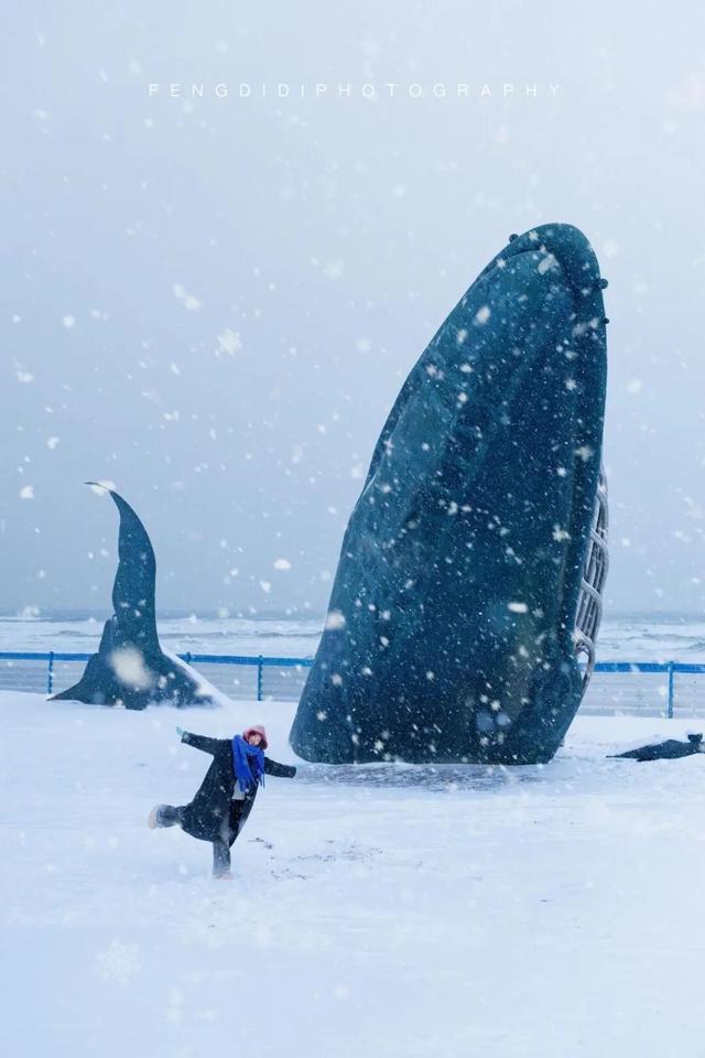 等了一年！烟威最浪漫的时刻，终于来了！