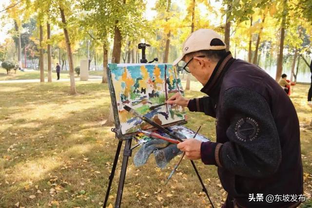 东坡银杏已“上分” ！快来拍