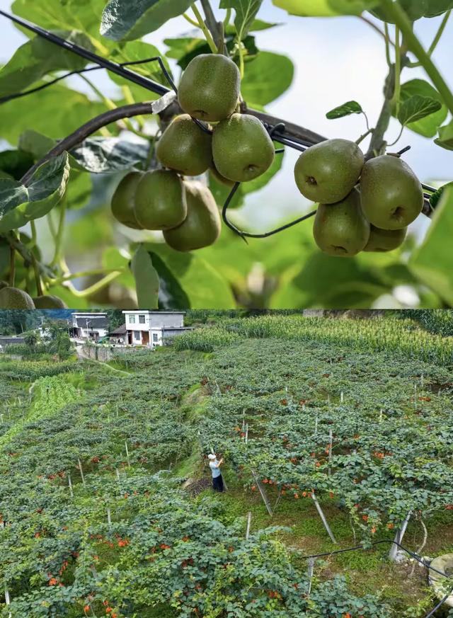 来九丝城镇研学,触摸历史,享自然野趣~