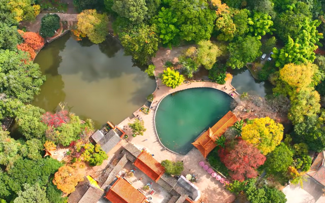 云南昆明最大的赏枫胜地，有6000余株枫树，红叶与古寺相映成趣