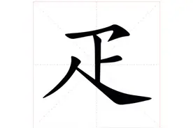 疋字怎么读，是什么意思？疋作部首时好多人读得不对图片