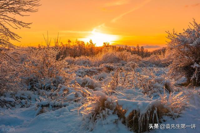 “冷不冷，就看白露”，今日白露，今年冬天会很冷吗？看农谚咋说
