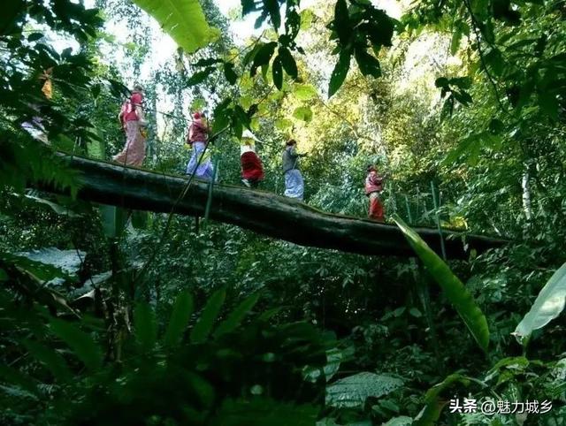 冬天别宅家！这5个宝藏目的地，避寒赏雪承包你所有浪漫