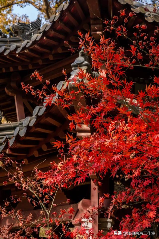金陵古寺 各有风华