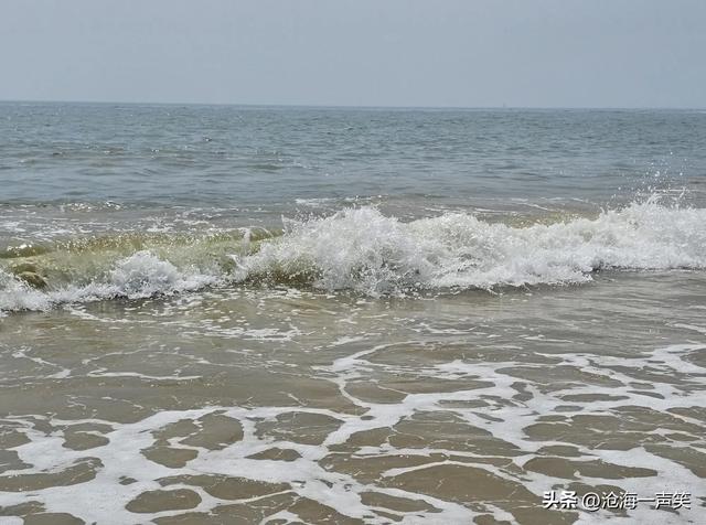 涛声依旧，海浪滚滚，向往大海就奔向大海，向往高山就赴向高山