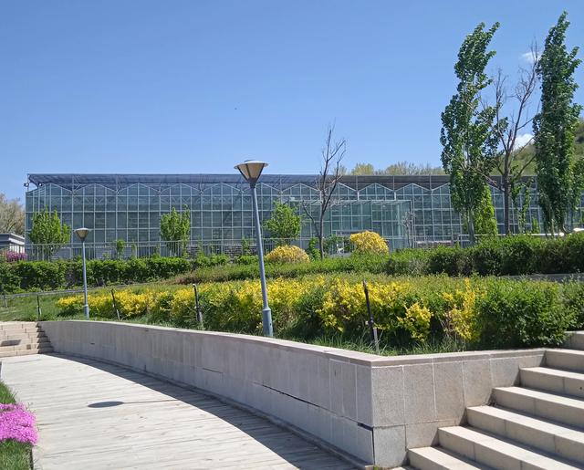 乌市雅山往西去有个水景公园,水面像梯田,还有花卉基地