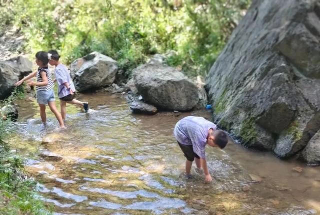礼县文旅热力全开｜这个夏天，遍地是“爆款”