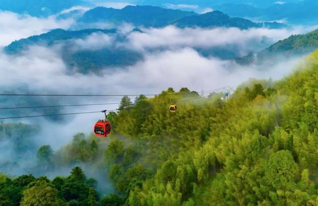 山海避暑“专列”启程！这里藏着夏天最舒服的打开方式→