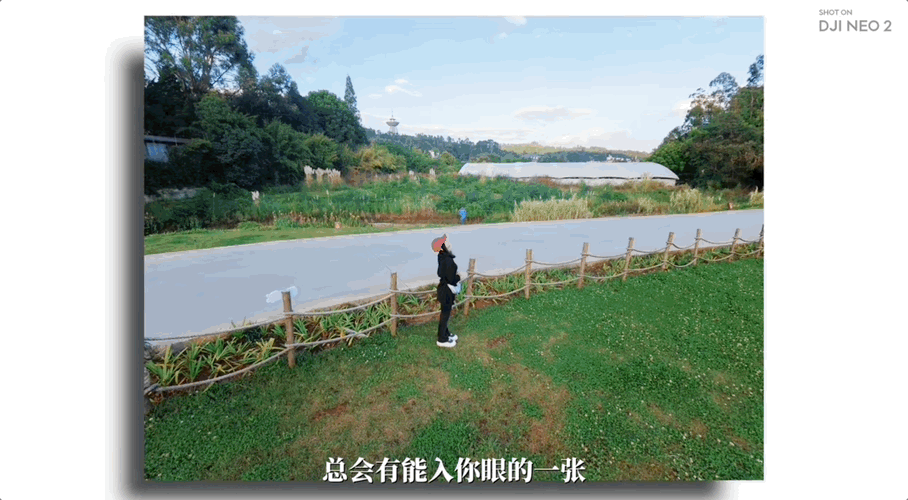 最懂生活的年轻人，爱上了大疆的「赛博飞宠」