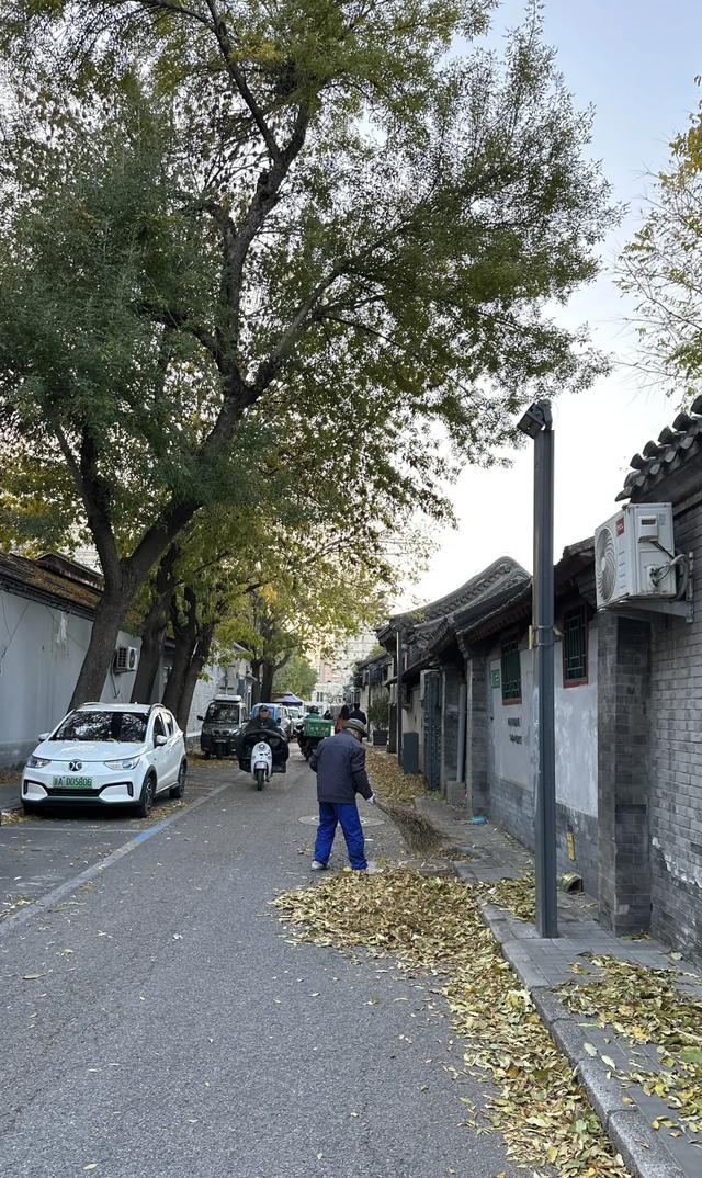 更年期小阿姨的胡同漫游