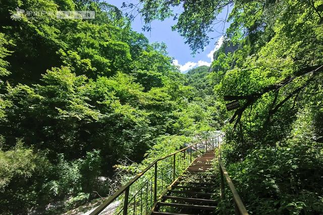 西安人私藏的“天然空调房”，朔溪观瀑，喂萌宠，凉快还免门票！