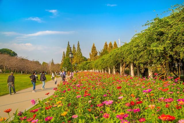 我是山东人刚从云南丽江回来，实在忍不住想说：对丽江的6点印象