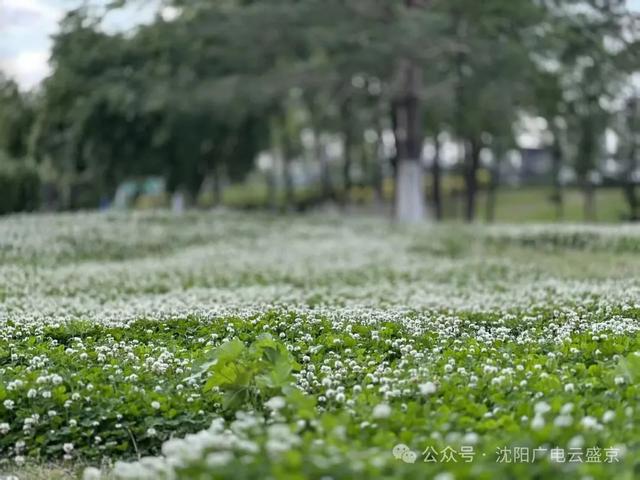 这艘船，这条河，上了新华社！