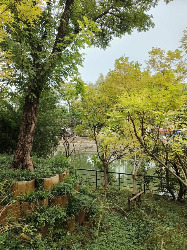 天津复兴门桥《绿道公园》