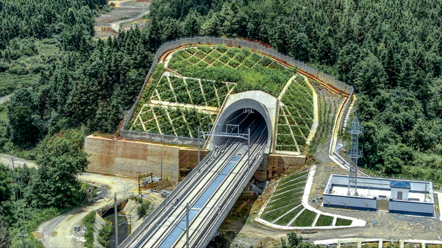 难度堪比青藏铁路，一条高铁十年建成，郑万高铁为何这么难？