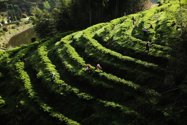 在江西工作三个月，说两句不客气的话，江西才是华夏之魂