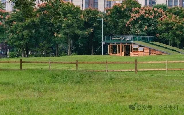 秋假去哪？崇州这些亲子游宝藏地不容错过