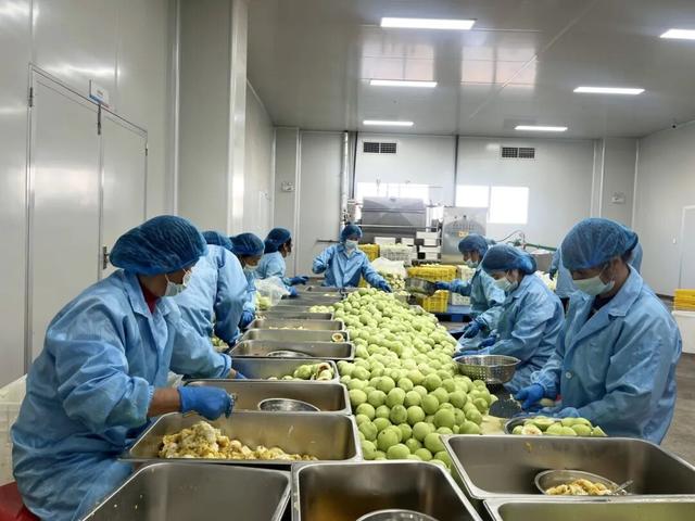 期待！福建（武平）百香果文化馆即将开馆！实景图抢先看→