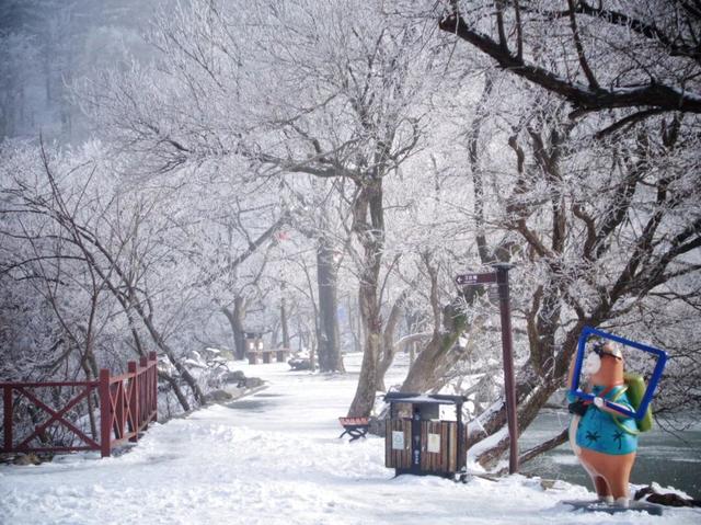 又来？这样的随州，你见没见过？