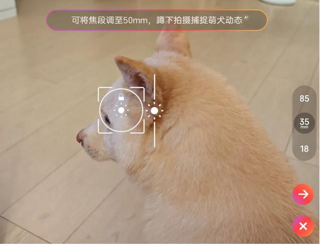 抱歉，我收回“旗舰都无聊”这句话
