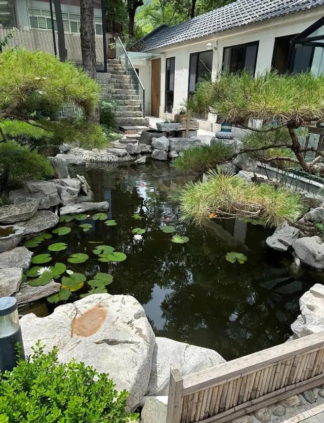 热门消息-刚从济南返来，实在不由得想说：对济南的5点印象(36)