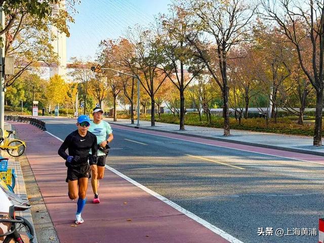 最美的季节！一起来静谧斑斓的黄浦滨江晨跑吧！