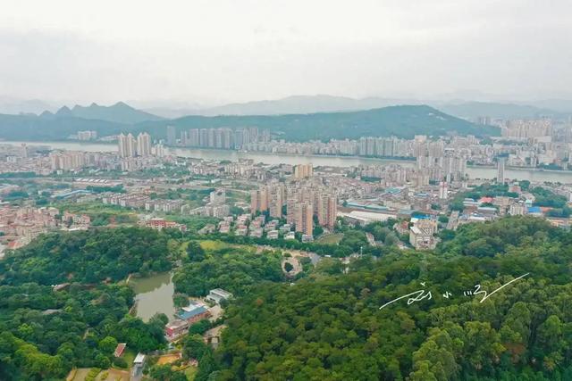 广东这座城市“太特别”：只有市区讲粤语，周边区县却说客家话？