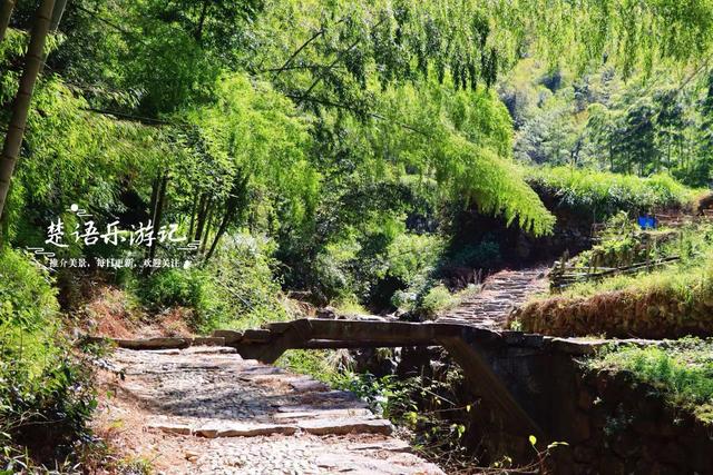 浙江宁波桥坑山麓的古村，既是文化名村又是景区村庄，景色确实美