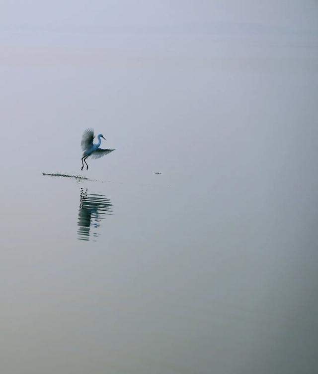 @明光人，来女山湖罗咀，当一天“闲云野鹤”