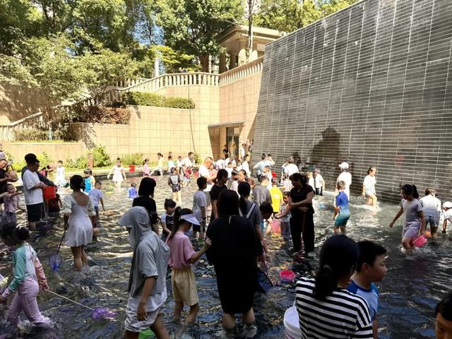 100多斤活鱼，免！费！抓！上城这个小区又整活了