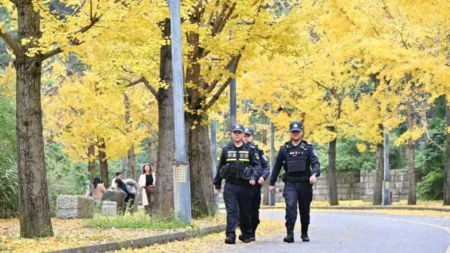 秋日限定“皮肤”上线，藏蓝连接成功