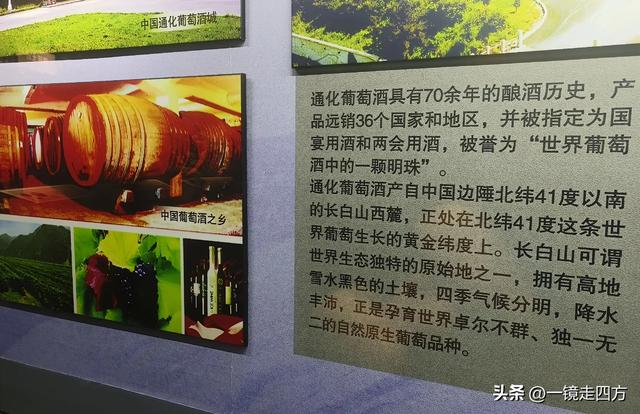 通化市自然博物馆
