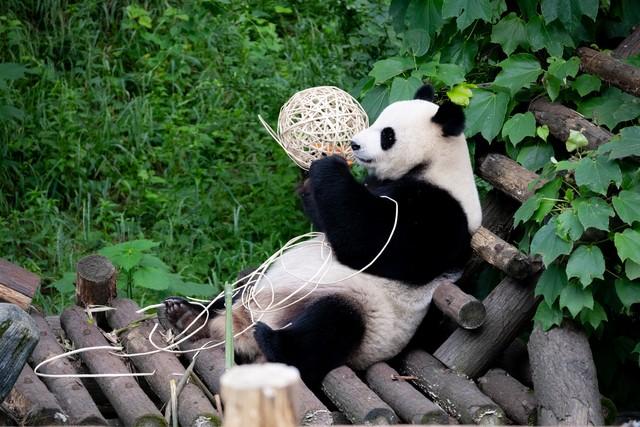 国内这2个省份都被誉为“缩小版的中国”，你认为谁更胜一筹？