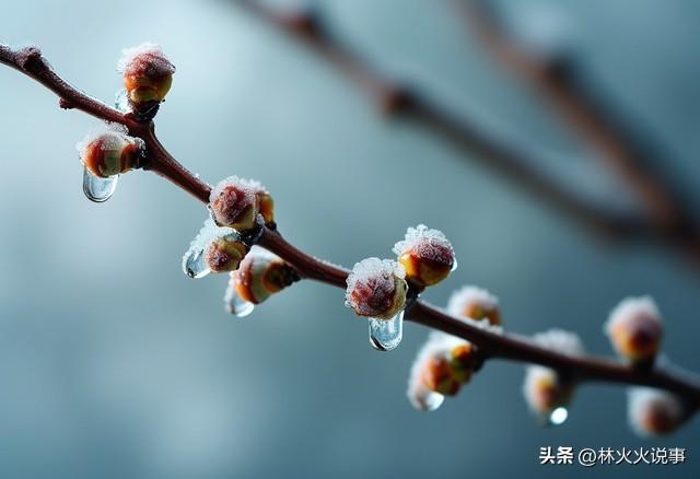 2026年春节在几九？过年到底冷不冷？早看心里有数，看老话咋说？