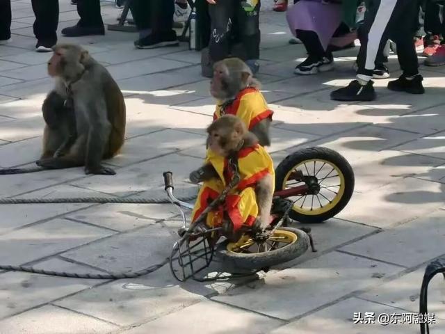 叮~东阿中医药文化旅游区国庆游玩攻略已定制完毕，请查收
