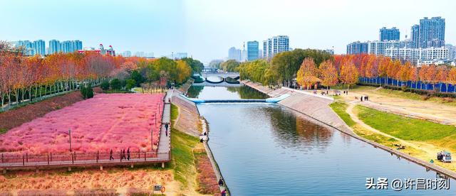 清潩河畔冬韵浓