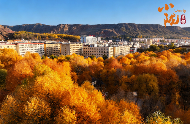 【小陇画报·426期】肃南：多彩秋日 满目金黄
