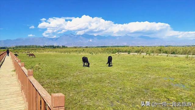 乌鲁木齐一柴窝堡湖湿地公园