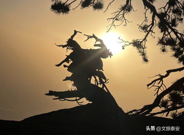 五元纸币隐藏款彩蛋曝光！风景原型地90%游客都走过了界