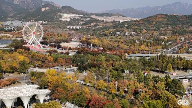 【绿色打卡地】处处皆美景，初冬的世博园被焦糖色填满