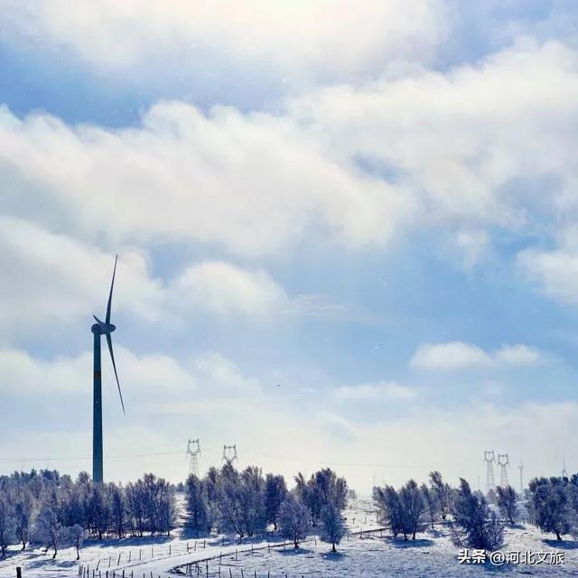 御道口草原森林风景区：草原换银装，森林藏冬韵！