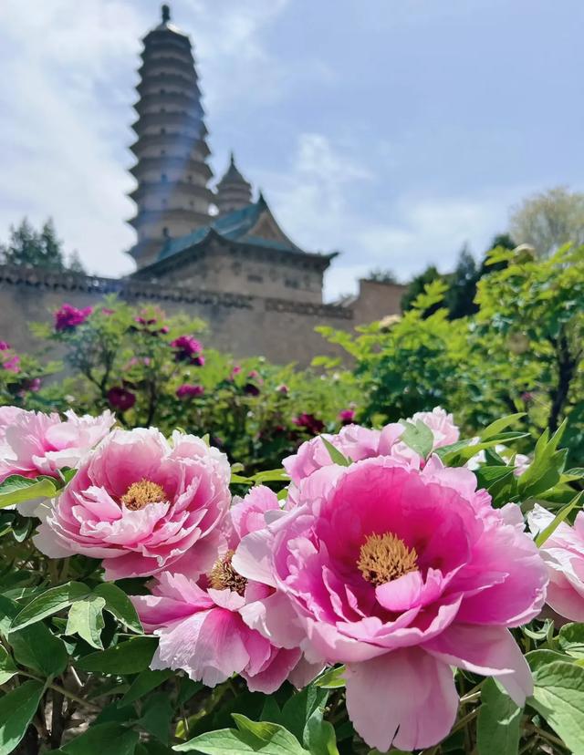 世界上只有中国太原市才有的全球独一无二的10大奇景！