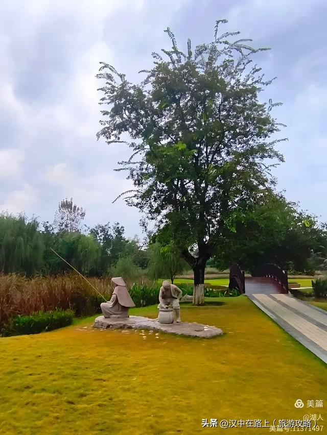 秋雨中的汉中湿地