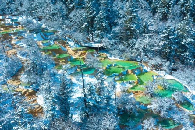 黄龙初雪，瑶池仙境一夜之间“白了头”？